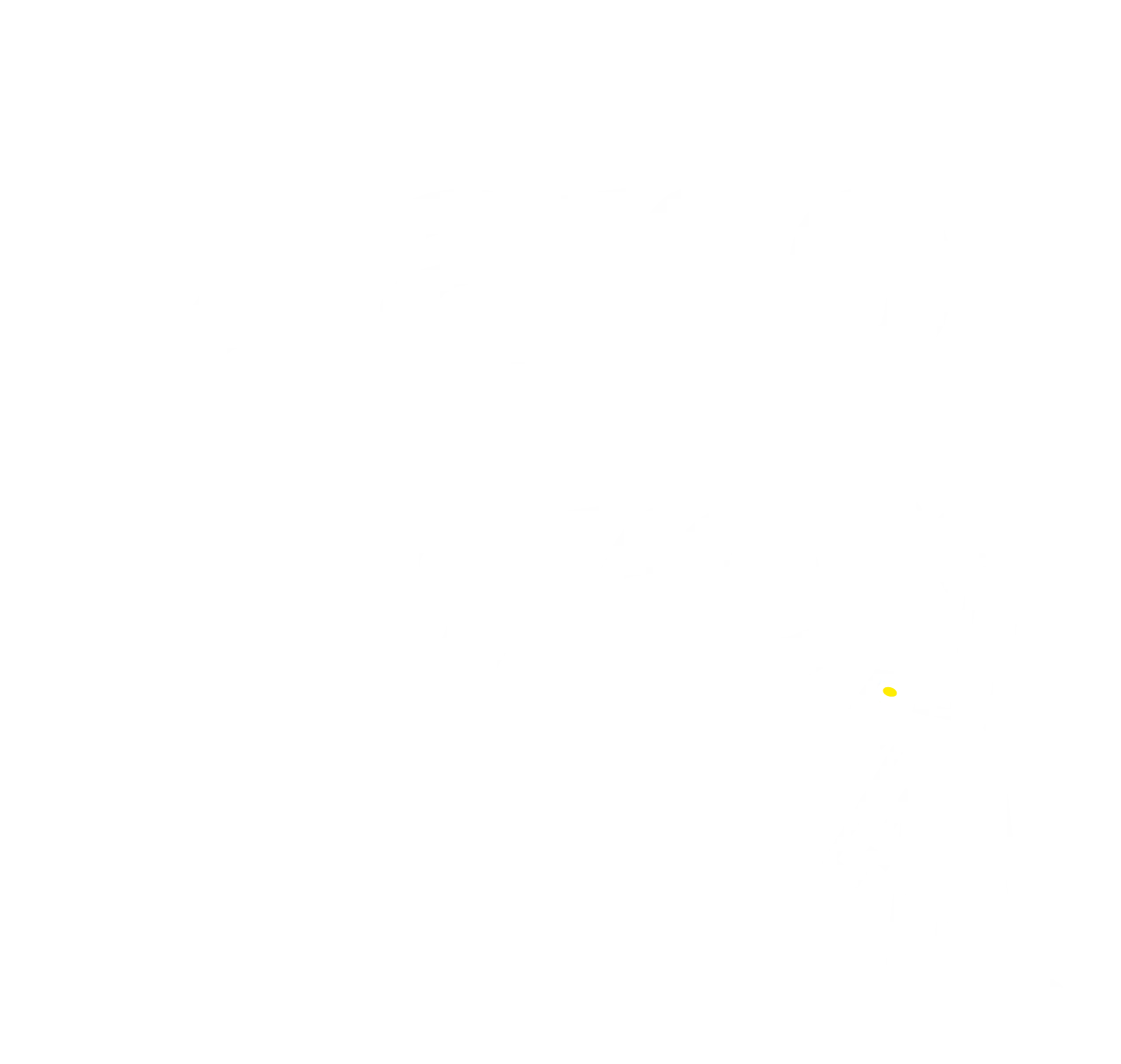 Diario Libre